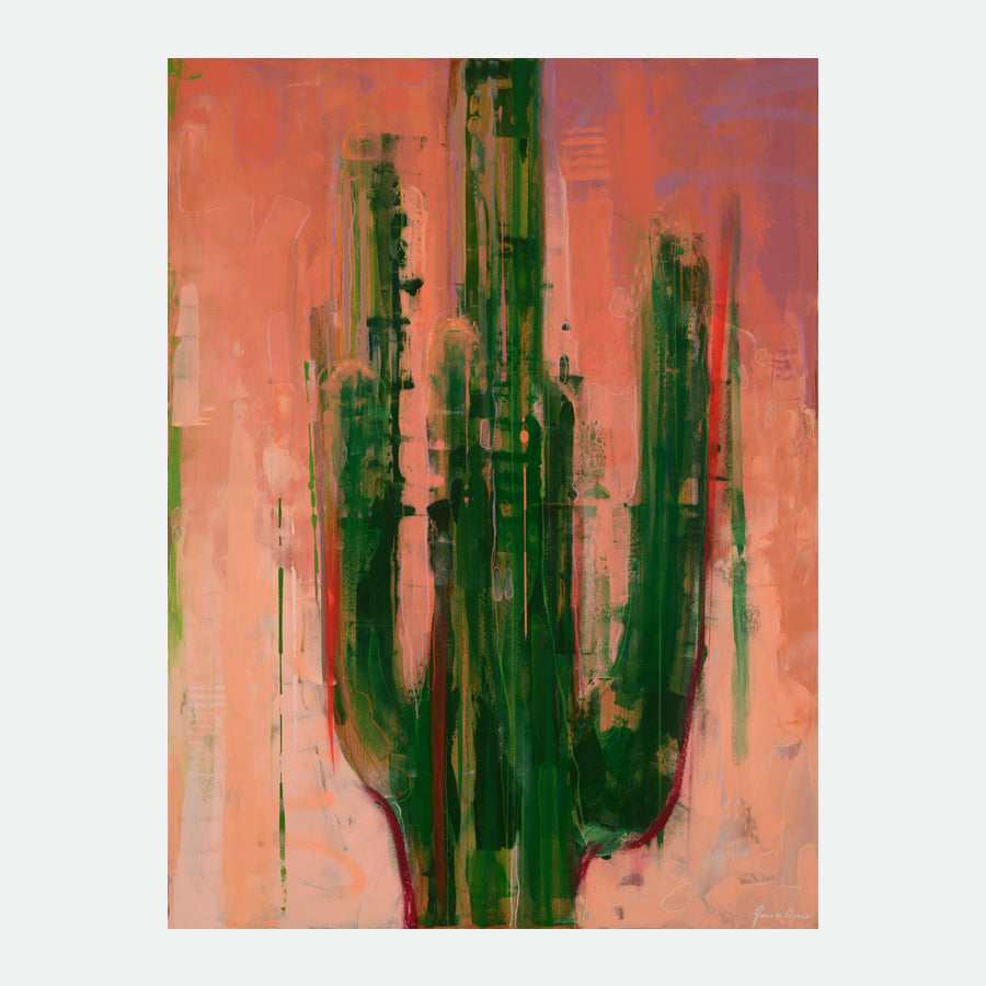 Saguaro Illumination