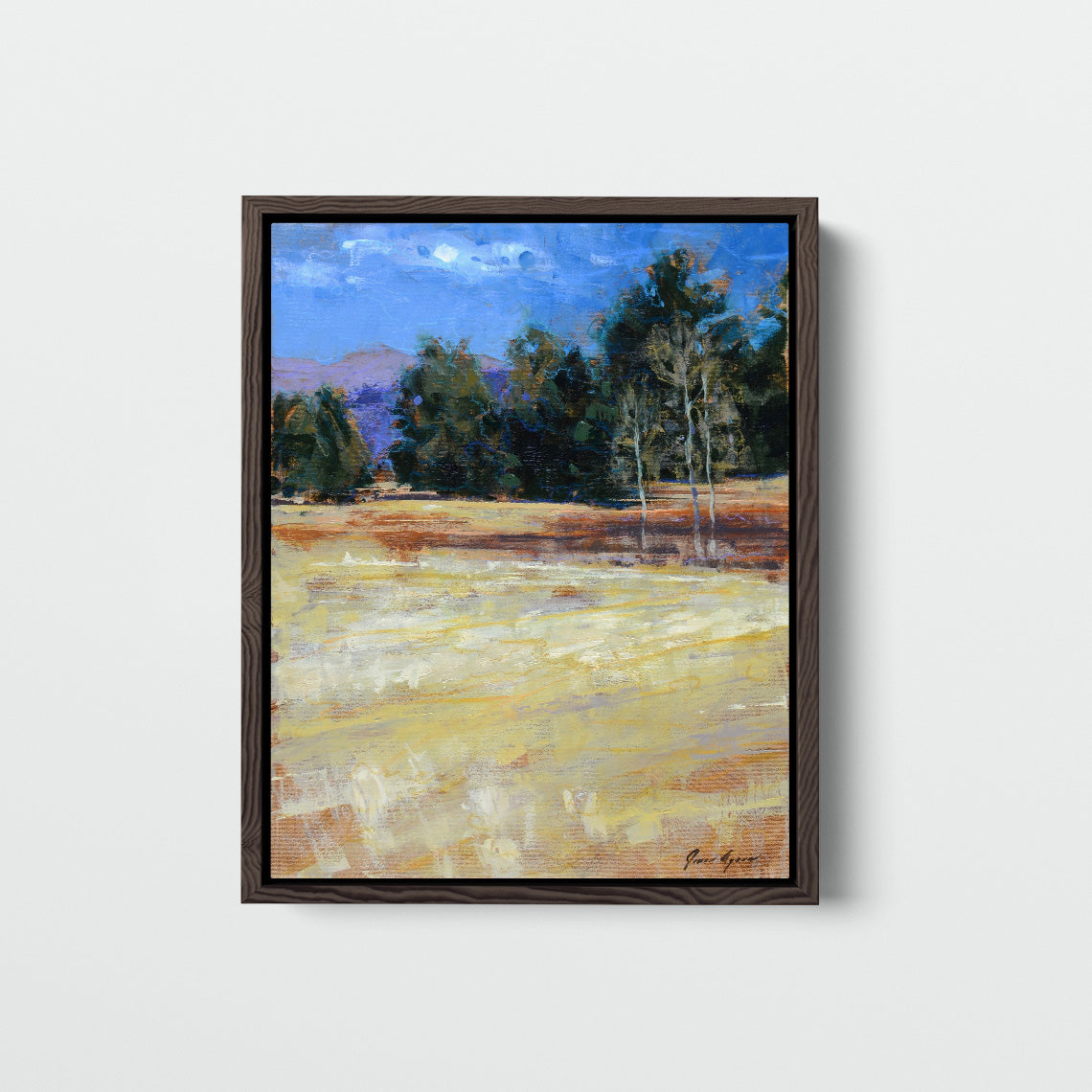 Mountain Meadow