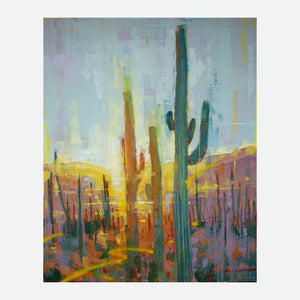 Sonoran Golden Glow